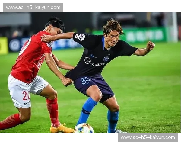 东京VS新泻天鹅:一场关于城市风韵与自然诗意的双重奏